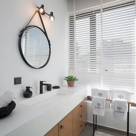 Villa Eliandreia Luxury Kalamítsi